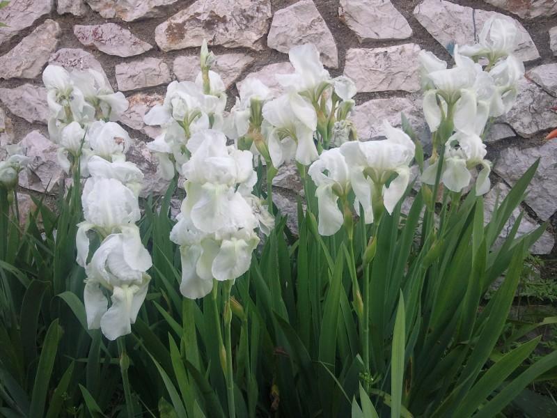 Apartmani Maris Mali Losinj Luaran gambar